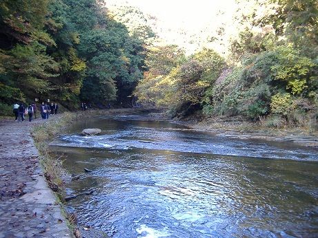 2010_1125_132053-DSCF3469