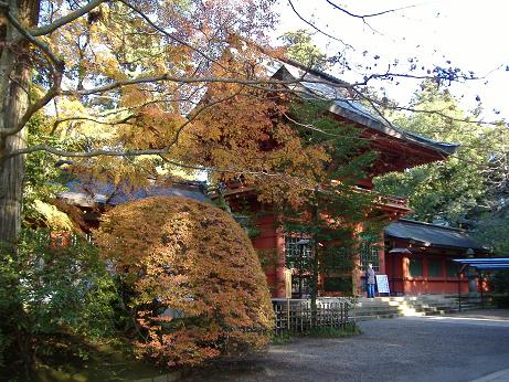 2009_1128画像0005