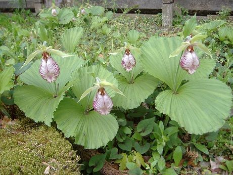 2011_0503_131838-DSCF3832