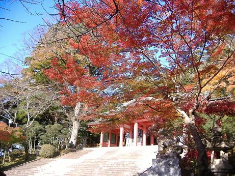 2009_1128画像0003