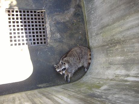 2011_0716_144055-DSCF4045