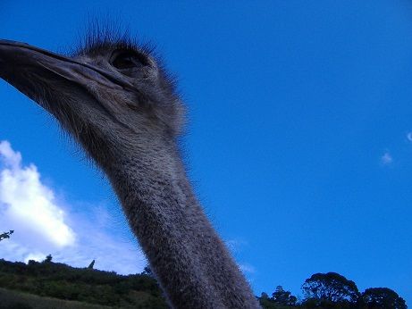 2010_1008_141214-DSCF3377