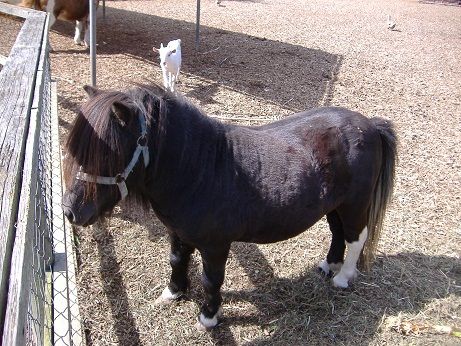 2010_1008_135224-DSCF3349