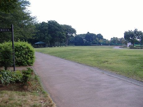 2010_0912_132534-DSCF3299