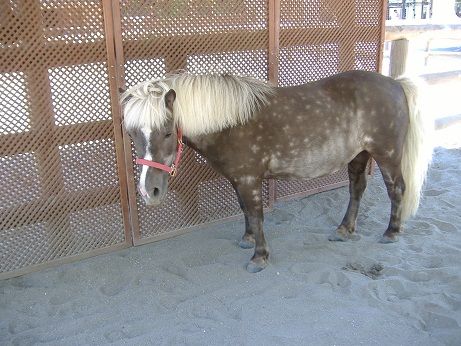 2011_0716_145418-DSCF4063