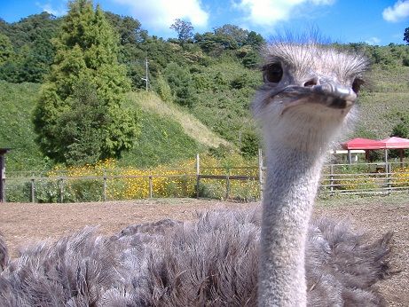 2010_1008_134201-DSCF3335