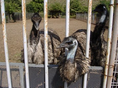 2010_1008_135639-DSCF3355