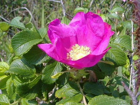 2011_0518_133708-DSCF3850