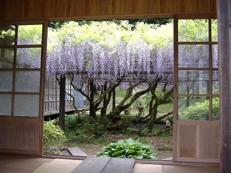 2010_0507画像0024