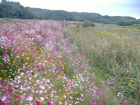 2010_1019_131223-DSCF3400