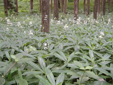 2011_0803_133440-DSCF4121