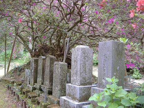 2010_0507画像0023