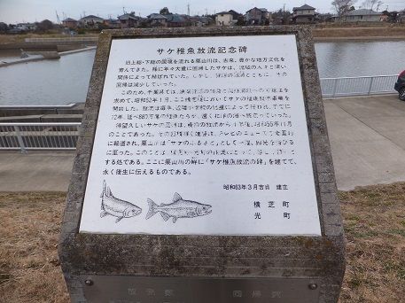 DSCF2656
