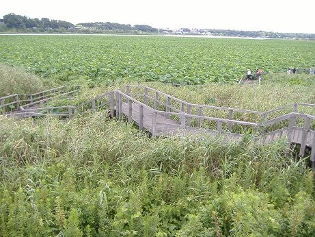 2011_0724_140141-DSCF4080