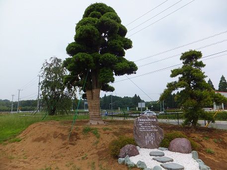 DSCF0863
