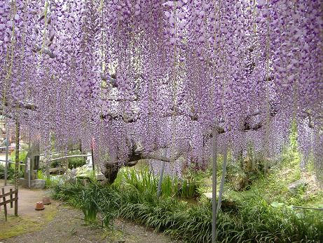 2010_0507画像0005