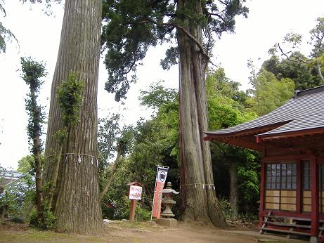2010_0507画像0010