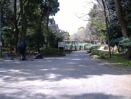 2010_0320画像0006