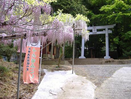 2010_0507画像0015
