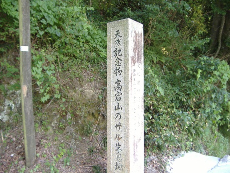 2010_0725_132415-DSCF3243