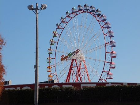 DSCF0254