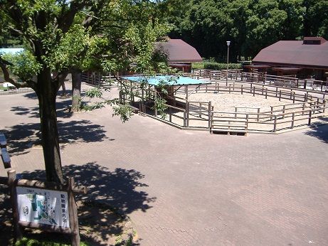 2011_0716_145150-DSCF4061