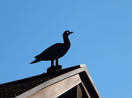 DSCF1046