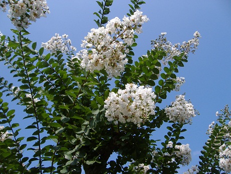 2010_0818_130925-DSCF3272