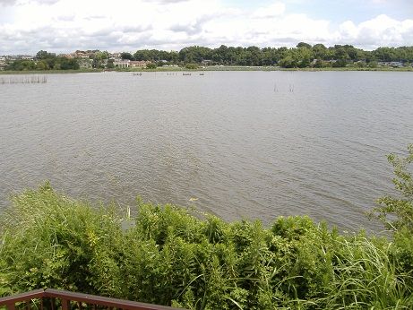 2011_0724_142635-DSCF4085