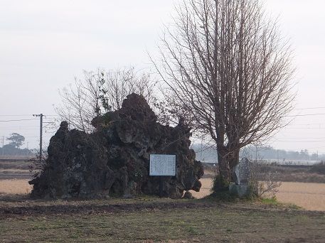 DSCF1173