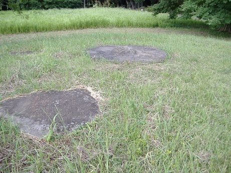 2010_0914_134741-DSCF3308