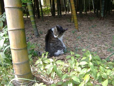 2010_0912_130345-DSCF3296