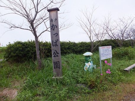 DSCF2102