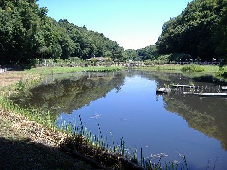 2011_0716_141150-DSCF4032