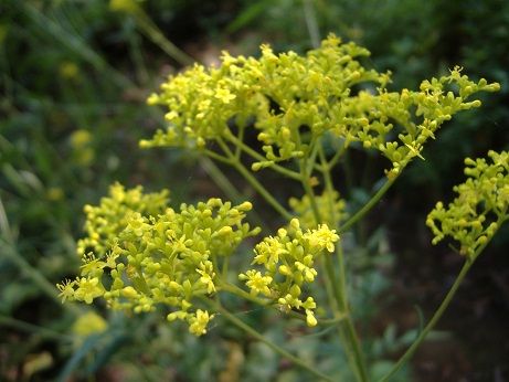 2010_0818_132044-DSCF3276