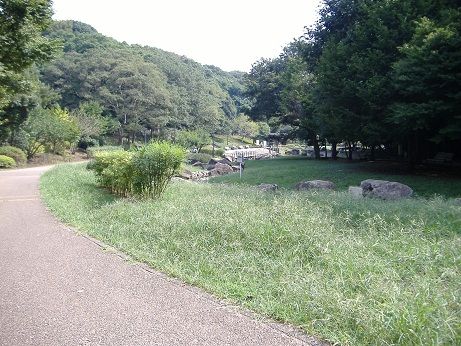 2010_0912_125432-DSCF3294