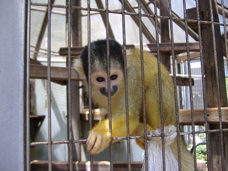 2011_0716_143601-DSCF4038