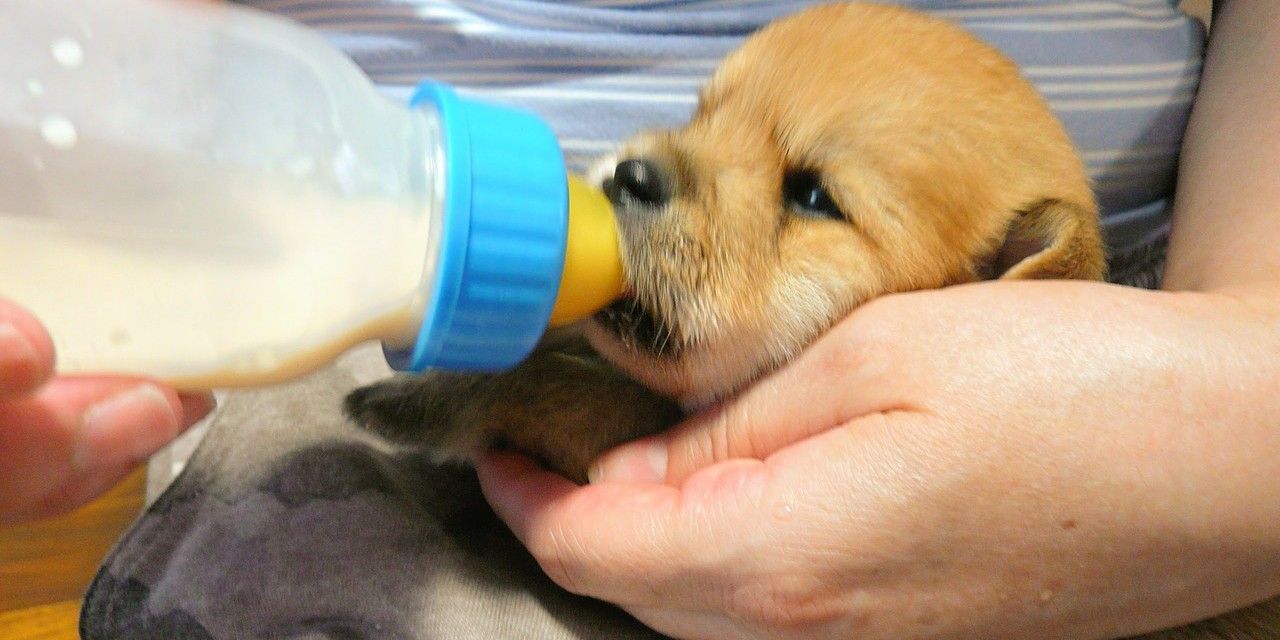 初めての授乳 サロマ写真館 初めての授乳 サロマ写真館