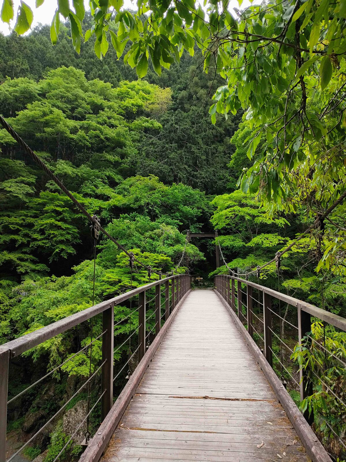 鳩ノ巣トンネル