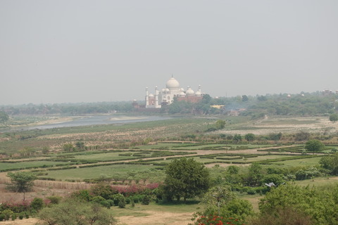 DSC02487