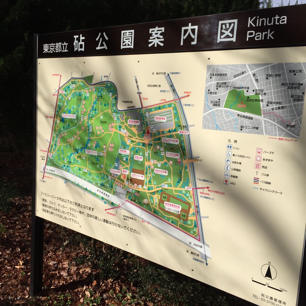 砧公園でポケモンgo 日記 ほげみとおったんのキャンプ日記 砧公園でポケモンgo 日記 ほげみとおったんのキャンプ日記