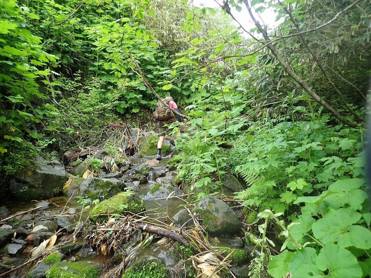 北海道化石採集記 2022年秘境巡検 : ほっほ:いしとむしとやまの人 北海道化石採集記 2022年秘境巡検 : ほっほ:いしとむしとやまの人