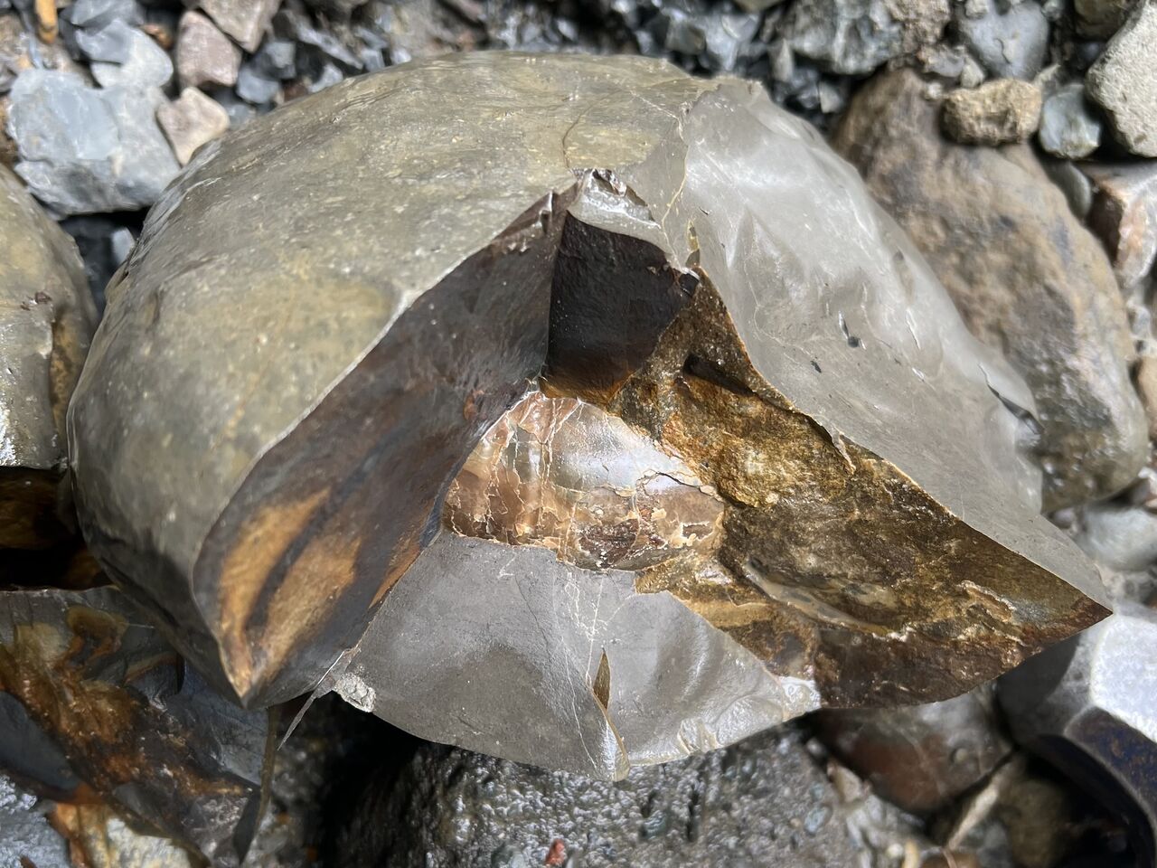 怪我の功名？ クリーニング編 : ほっほ：いしとむしとやまの人