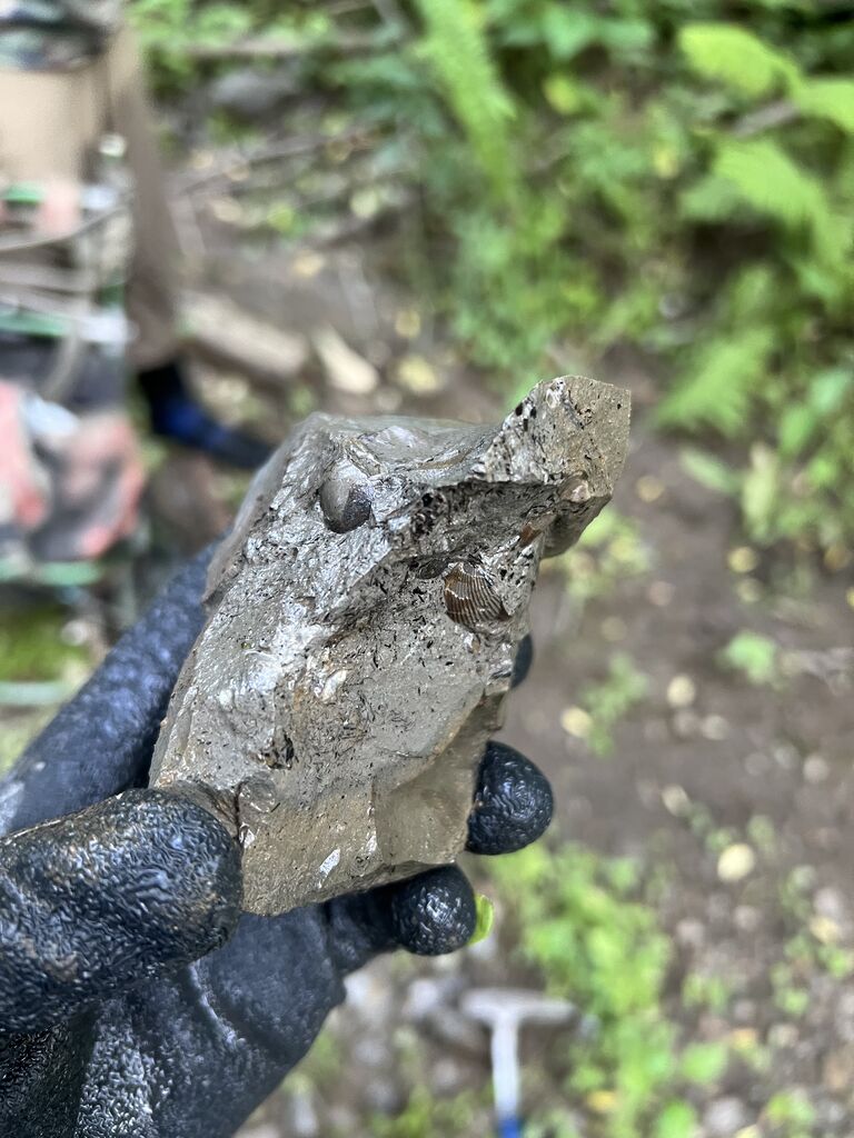 北海道化石採集記 最後のアンモナイトを狙って : ほっほ:いしと 北海道化石採集記 最後のアンモナイトを狙って : ほっほ:いしと