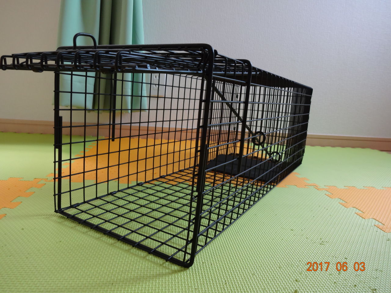 トマホーク社捕獲器導入 : ほごねこ奮闘記