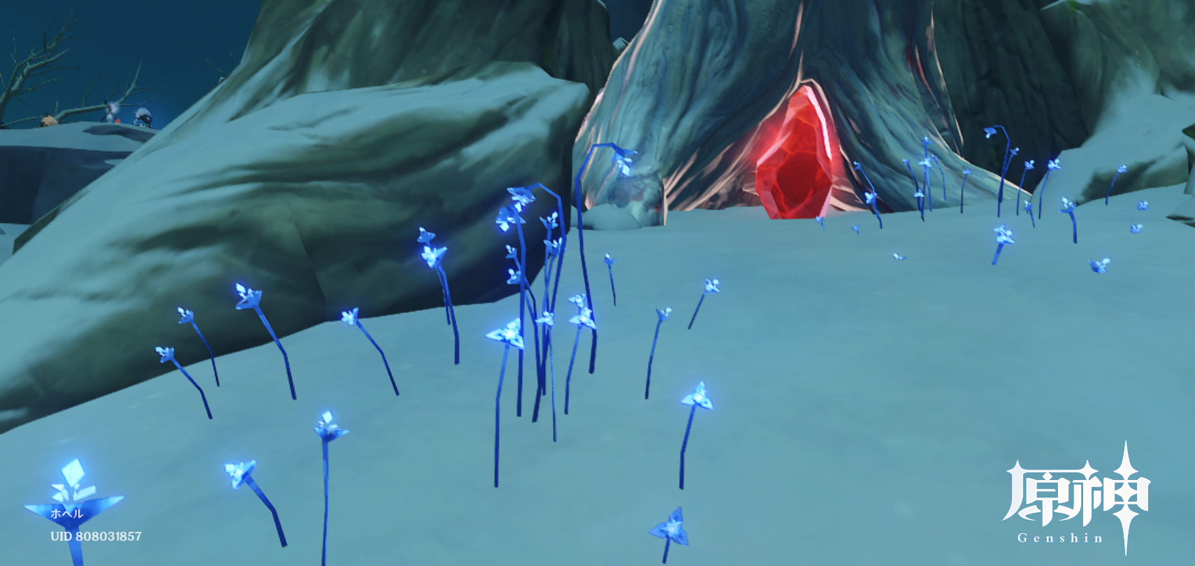 原神 天理との契約と自由 元素生物と神の摩耗 ホヘルの原神考察ブログ