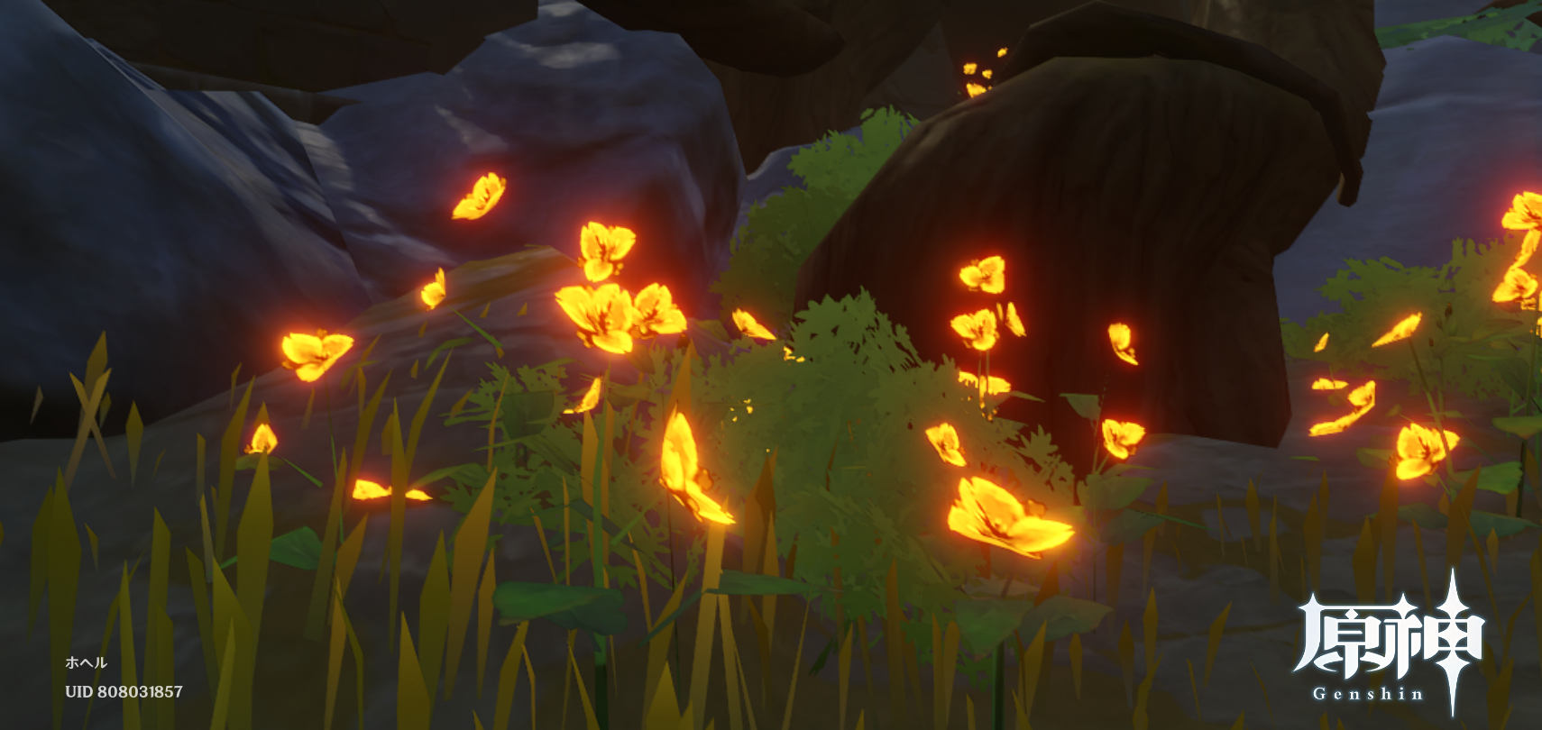 原神 天理との契約と自由 元素生物と神の摩耗 ホヘルの原神考察ブログ