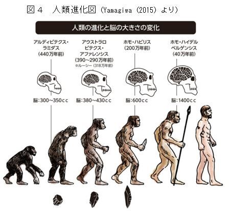 縄文ノート87 人類進化図の5つの間違い の紹介 帆人の古代史メモ 縄文ノート87 人類進化図の5つの間違い の紹介 帆人の古代史メモ