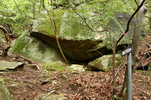 DSC03231