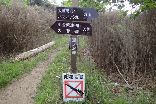 P6101150
